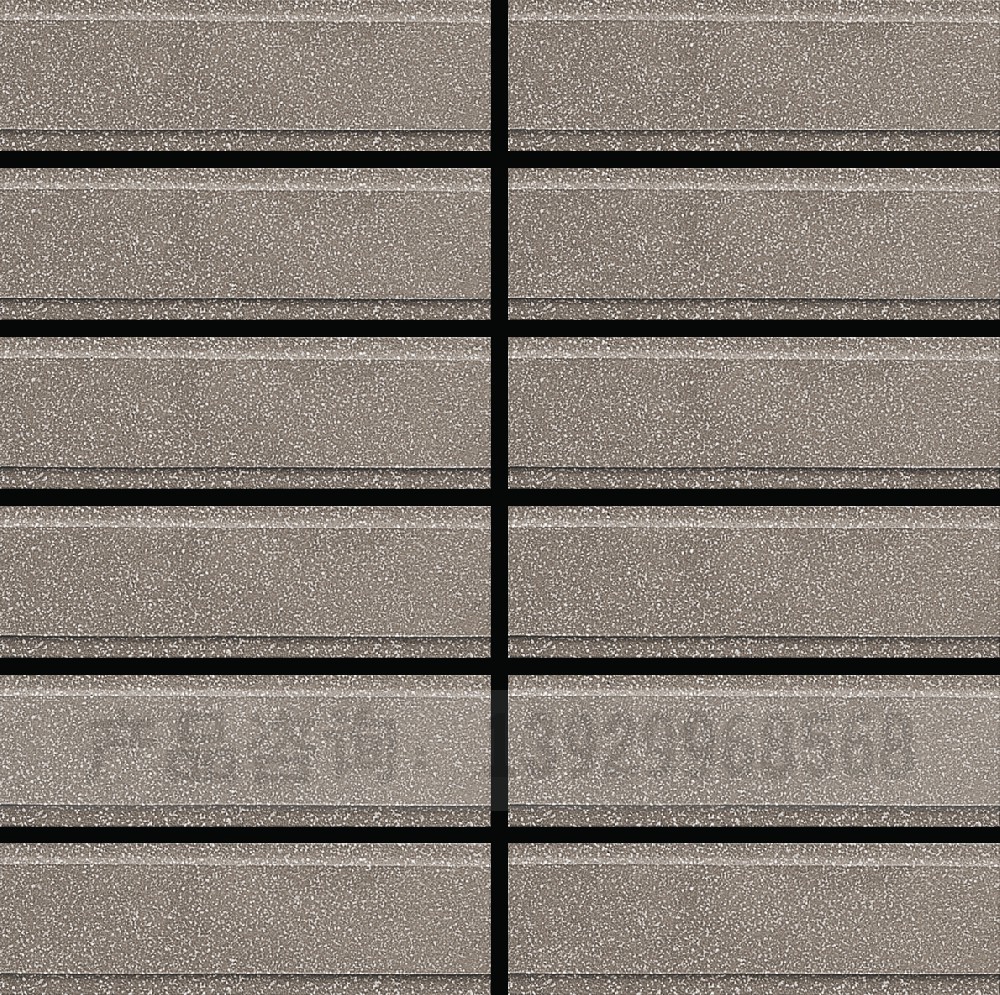 通體外墻磚ES-2008XP